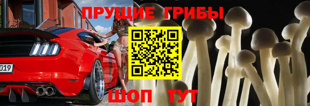 Сорочинск  Псилоцибиновые грибы GOLDEN TEACHER  Вход с VPN 
